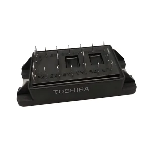 TOSHIBA MG